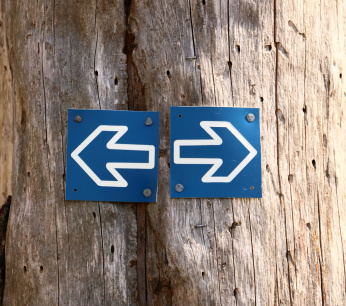 tree forest wood leaf number sign 733252 pxhere.com