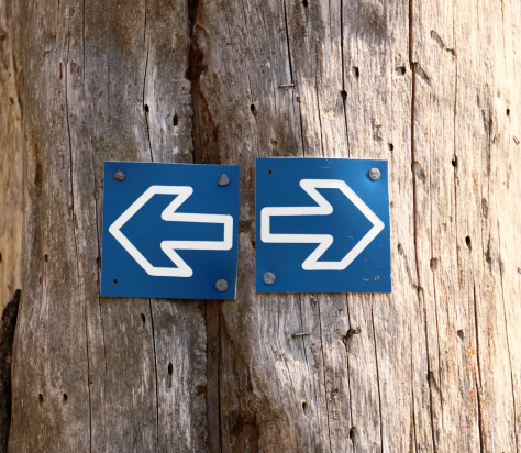 tree forest wood leaf number sign 733252 pxhere.com