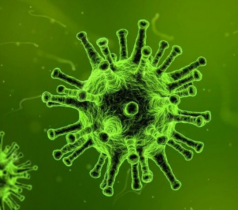 virus