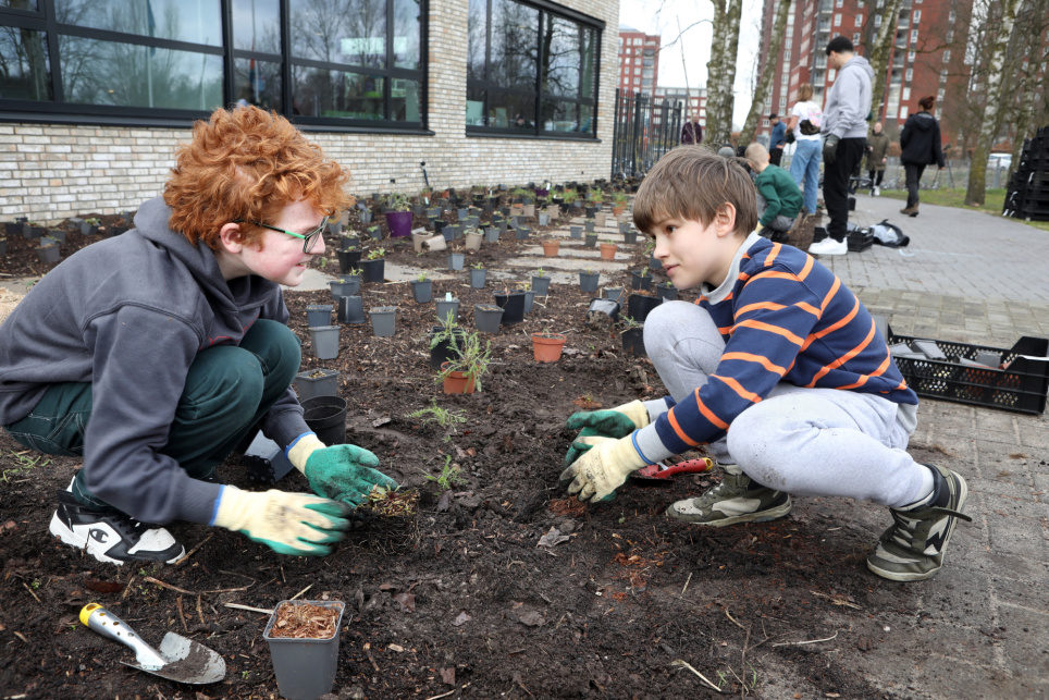 Twee jongens halen plantjes uit potjes om te poten in het zwarte zand